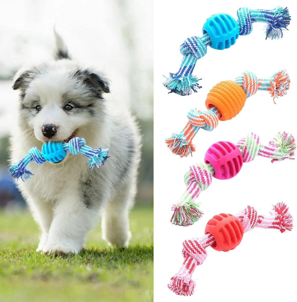 Blue dog chew toy with rope handles and textured molar surfaces for teeth cleaning
