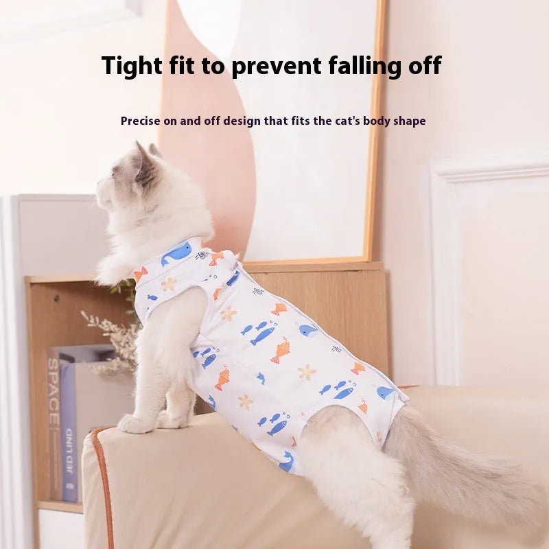 Cat wearing polyester sterilisation suit with velcro closure for postoperative wound protection