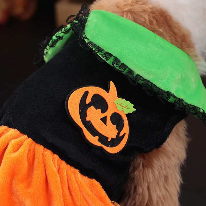 Small dog wearing an orange Halloween pumpkin skirt costume made of crystal velvet