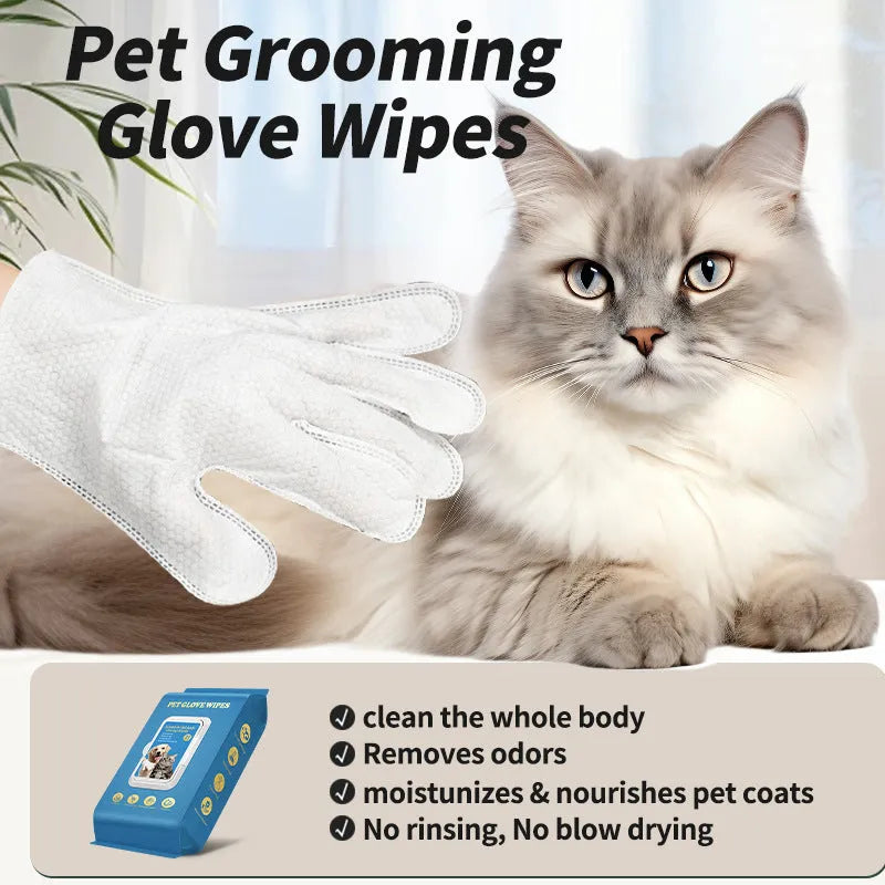 Pack of disposable plastic gloves for pet grooming and cleaning tasks
