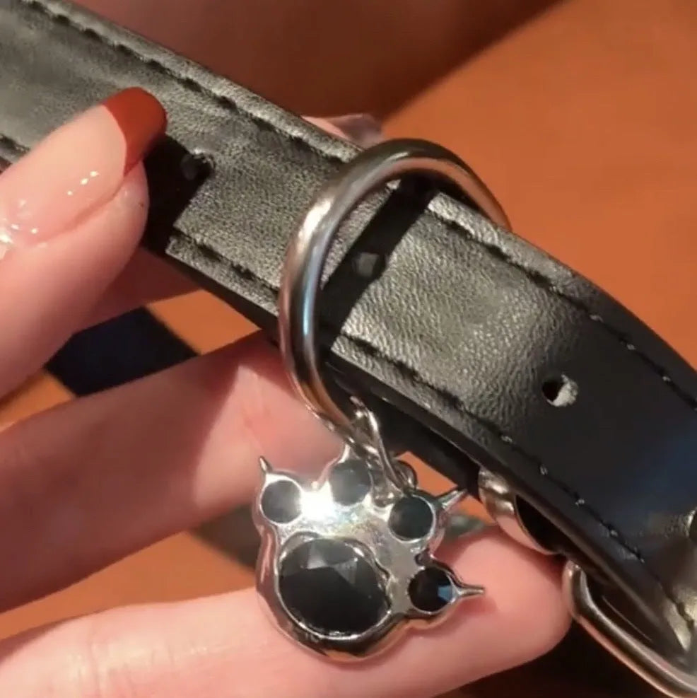 Black adjustable dog collar for small pets with choice of LD leather, cute bone, or cat paw metal charm designs.