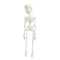 3D printed Halloween skull refrigerator magnet ornament in various colours with 18cm height