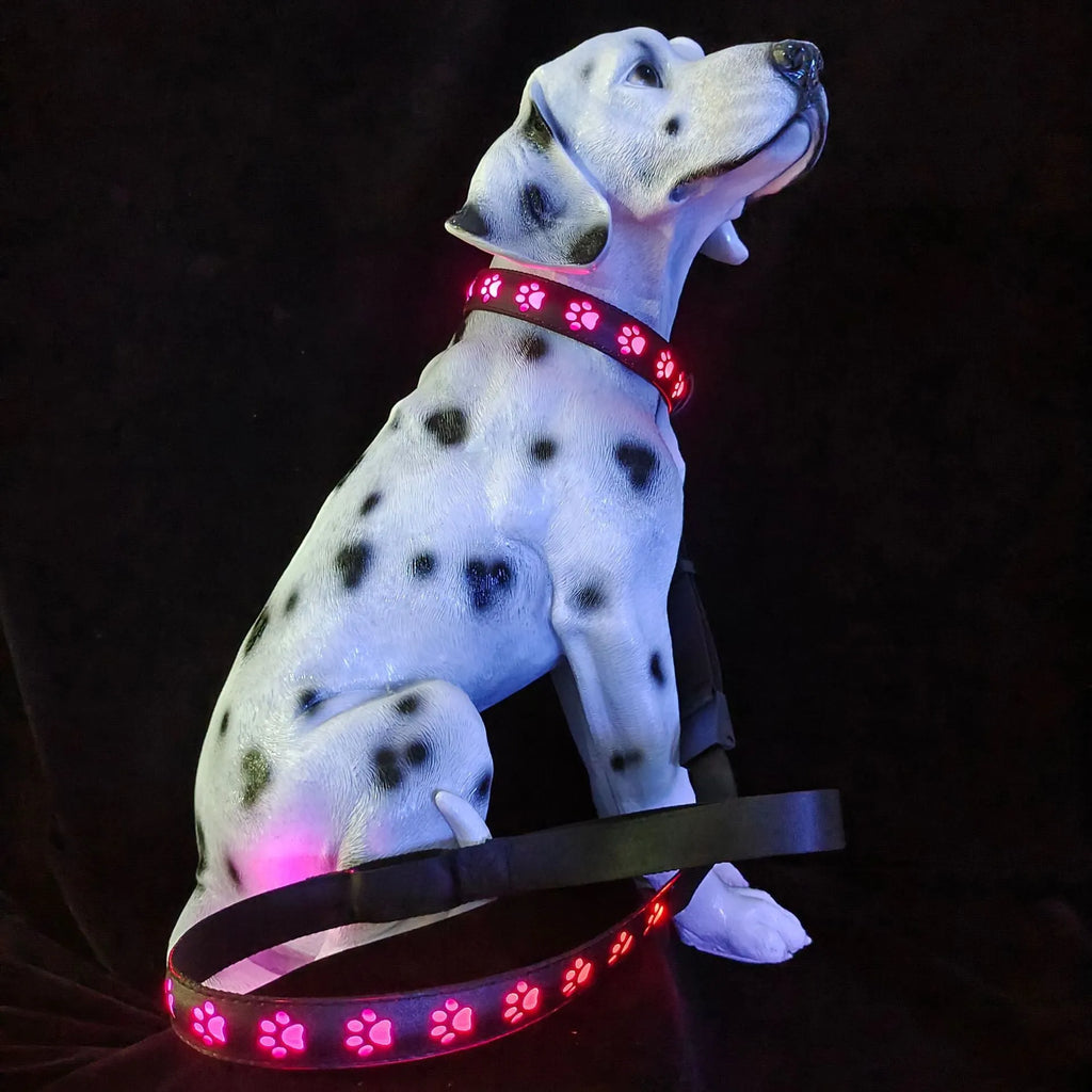 LED dog collar showing multicolour illumination with paw print pattern on adjustable polyester strap