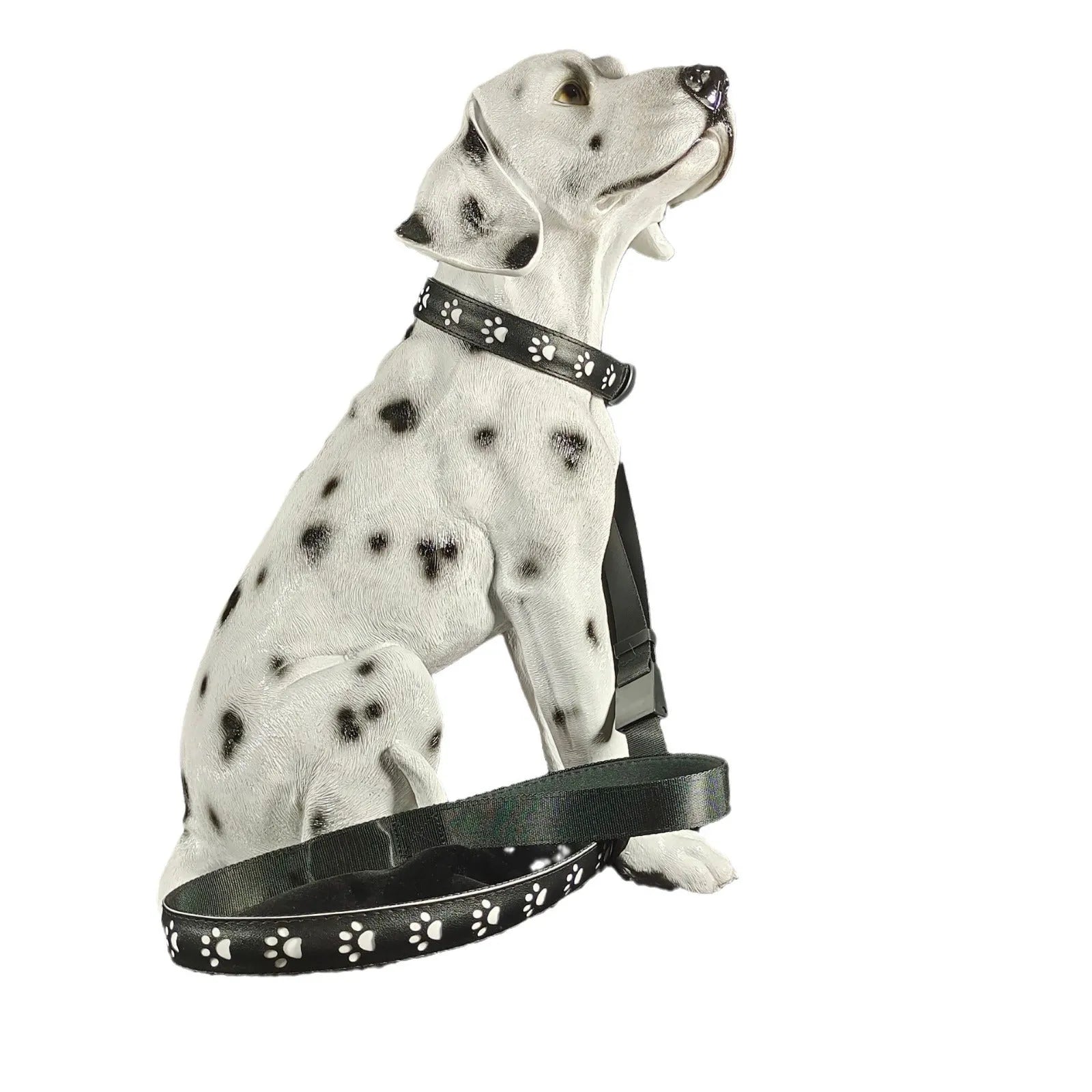 LED dog collar showing multicolour illumination with paw print pattern on adjustable polyester strap