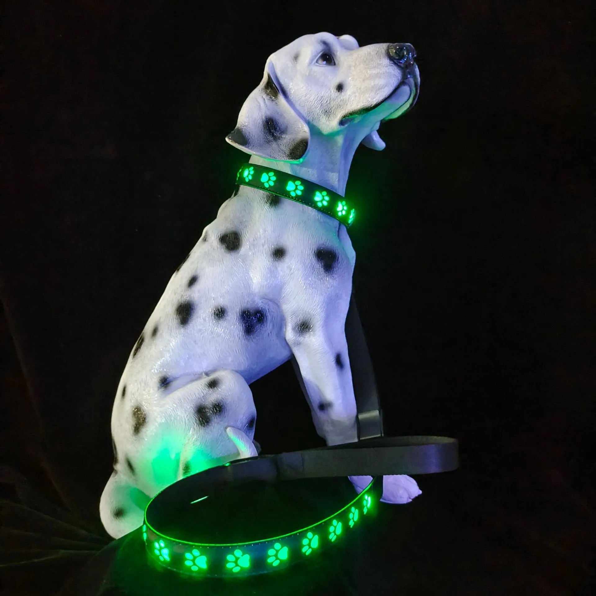 LED dog collar showing multicolour illumination with paw print pattern on adjustable polyester strap