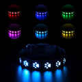 LED dog collar showing multicolour illumination with paw print pattern on adjustable polyester strap