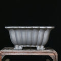 Square purple sand ceramic bonsai pot with classical styling on desktop