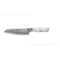 Damascus Special Combined Chef's Knife with 21cm VG10 blade and 32cm overall length