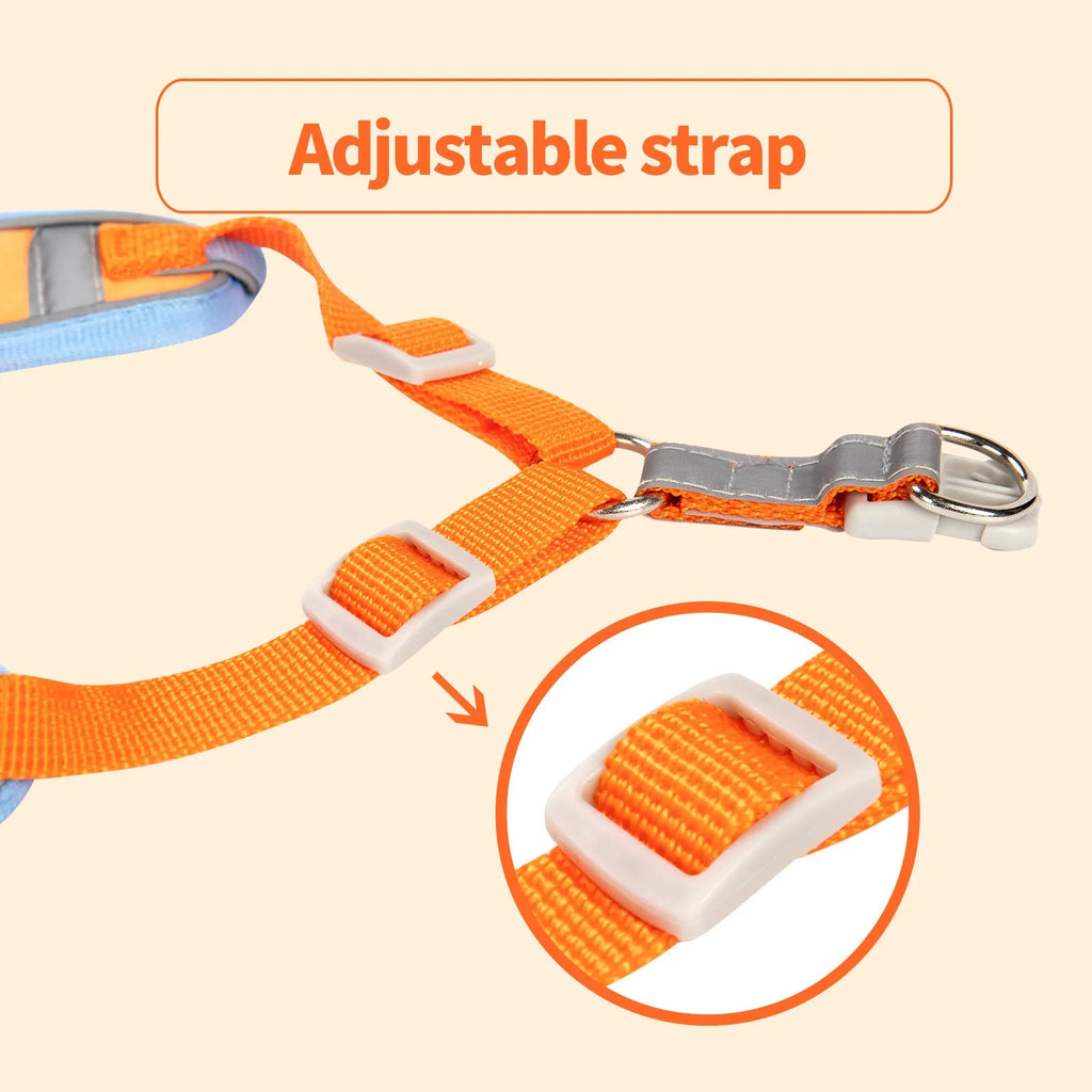 Adjustable rope dog harness and chest strap in multiple colours on a white background.