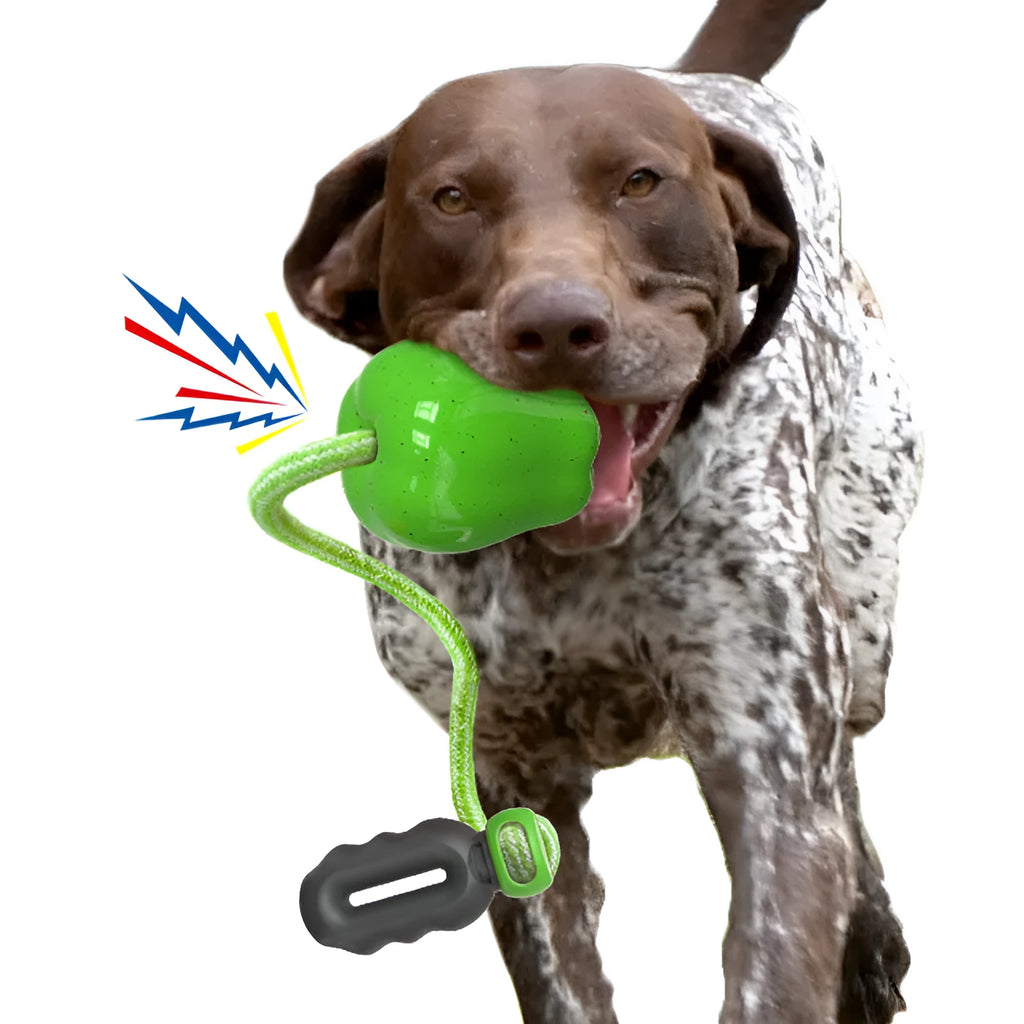 Plastic dog dental toy with dropping ball design for molar cleaning in green and red colours