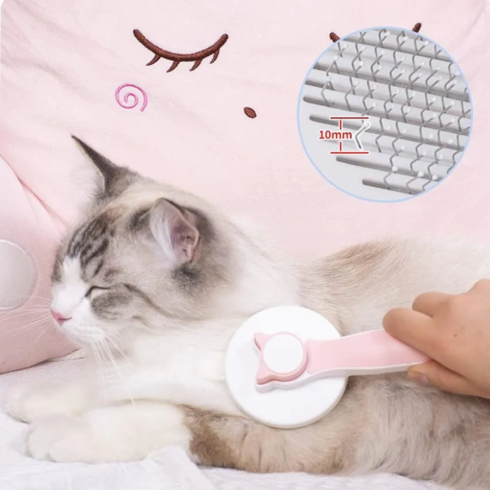 Blue self-cleaning cat brush with a rubber handle and round-tipped metal pins.