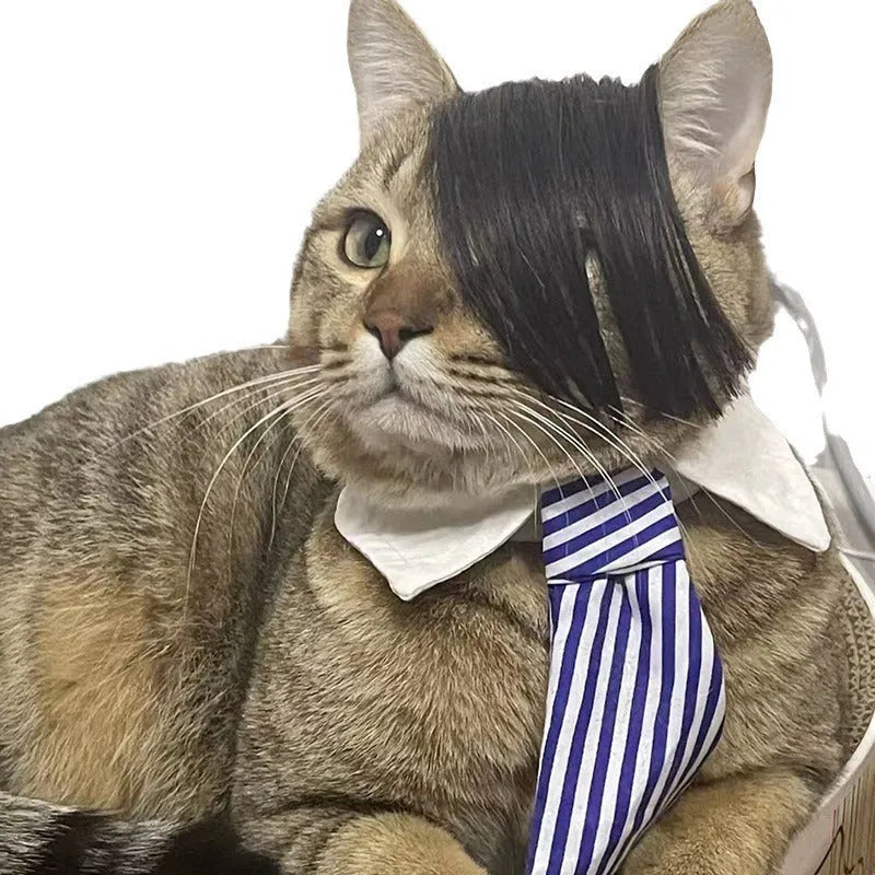 Black polyester fox-style imitation braid wig for cats on a white background