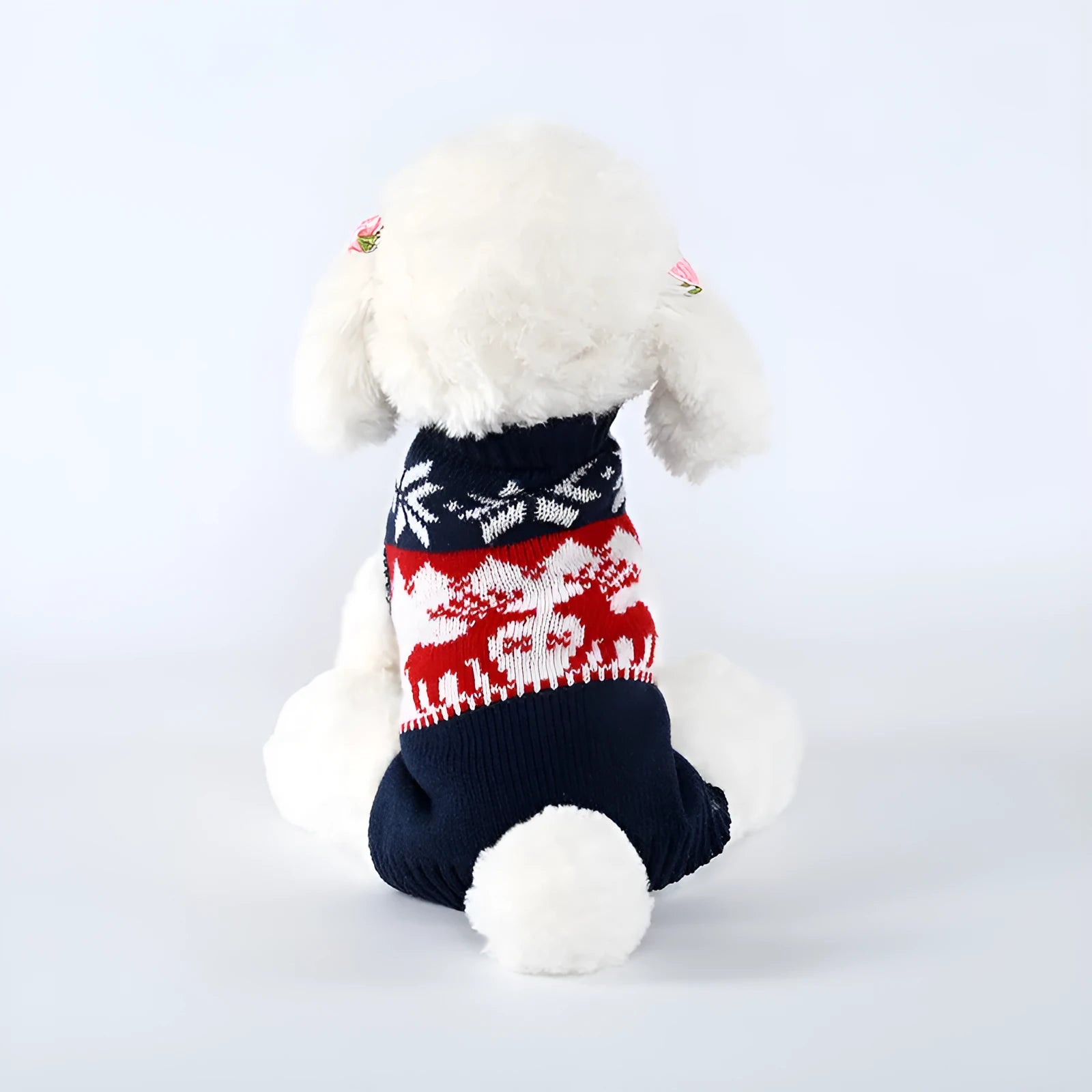 Navy blue knitted Christmas sweater for dogs on a small pet model