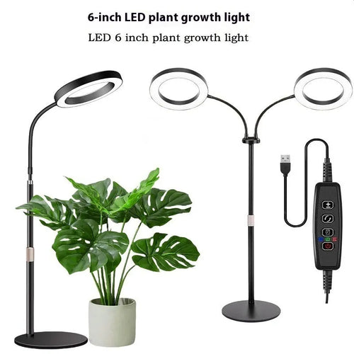 6-inch silver angel ring LED plant grow light on a retractable floor stand next to a houseplant.