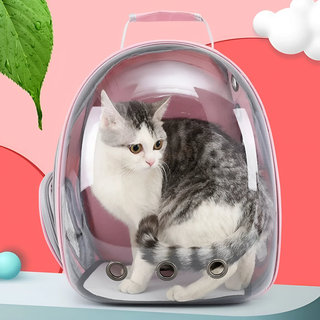 Grey PC astronaut-style pet carrier backpack with side-opening door for a cat.