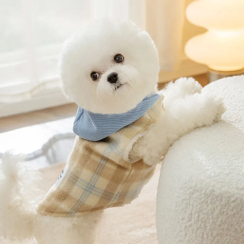 Blue corduroy chessboard grid hooded vest for dog on autumn background