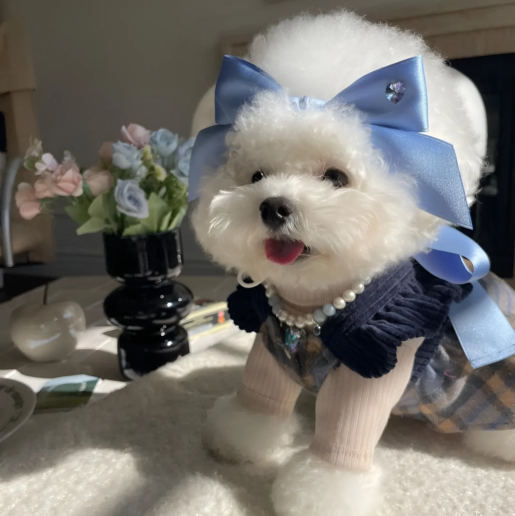 Dog wearing princess style bow hair band with tension adjustment on head