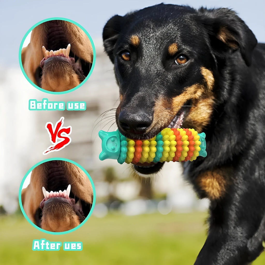 Blue, green, and pink caterpillar-shaped natural rubber dog chew toy on a white background.