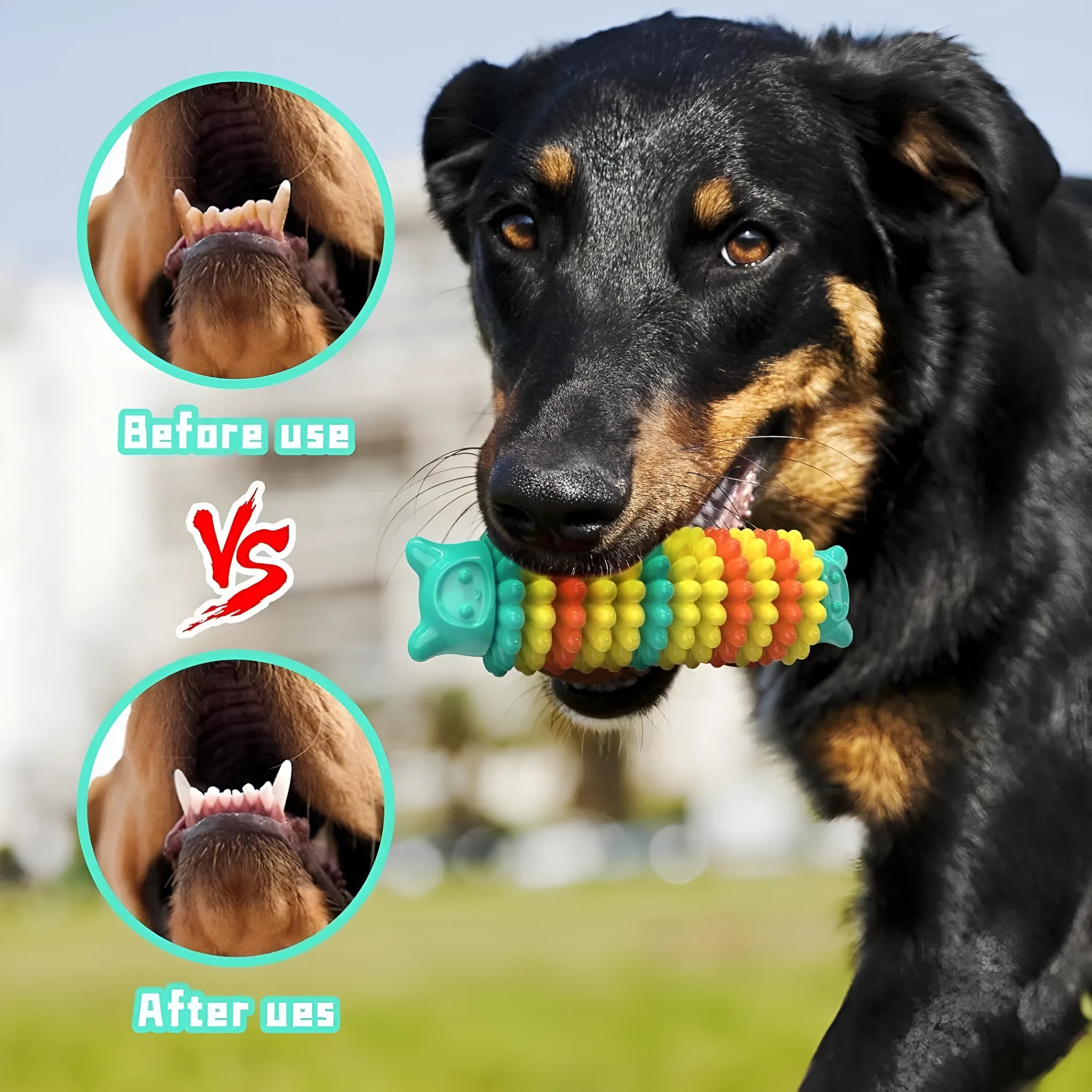 Blue, green, and pink caterpillar-shaped natural rubber dog chew toy on a white background.