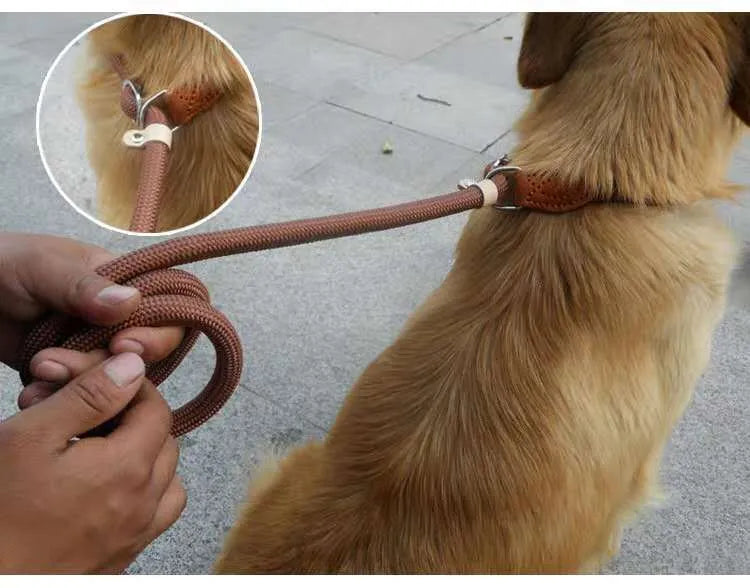 Brown nylon P chain dog leash with hand-holding rope, 2.1 metres long