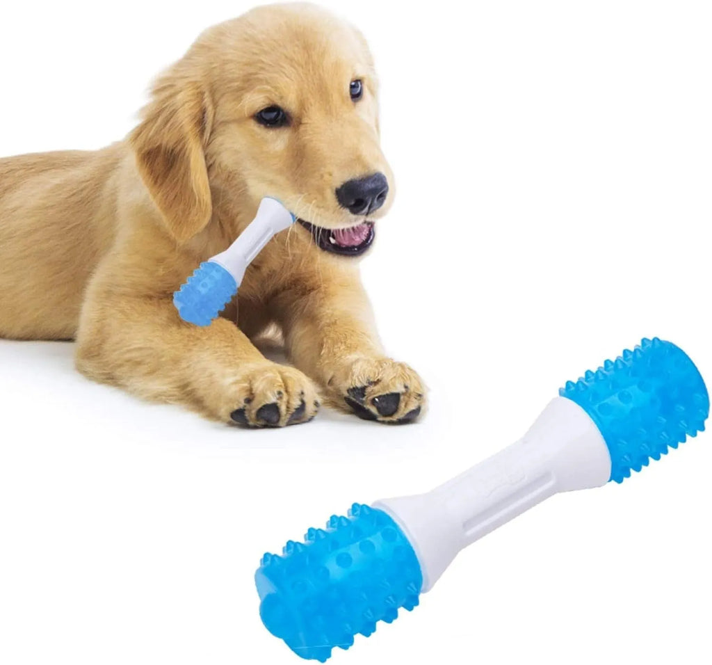 Dual-colour puppy teething chew toy for dental health in three sizes