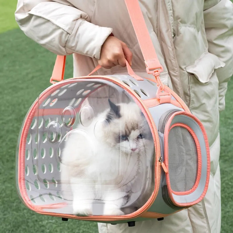 Transparent hard-shell cat backpack carrier showing interior space with colour options