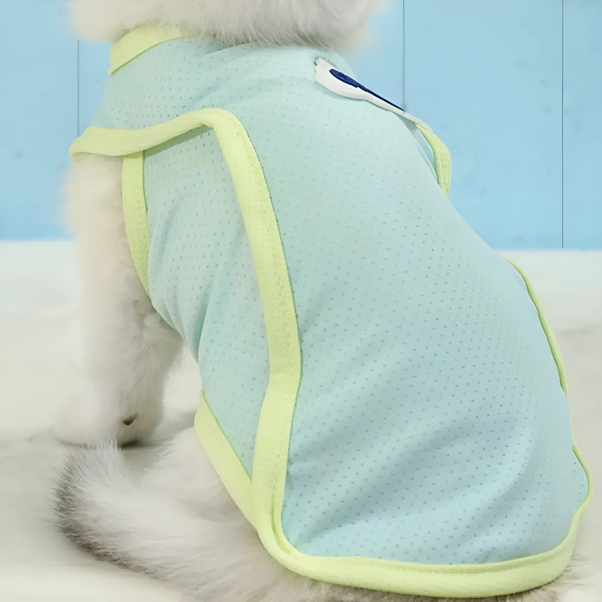 Cat wearing thin polyester summer vest in grass green colour with sports style design