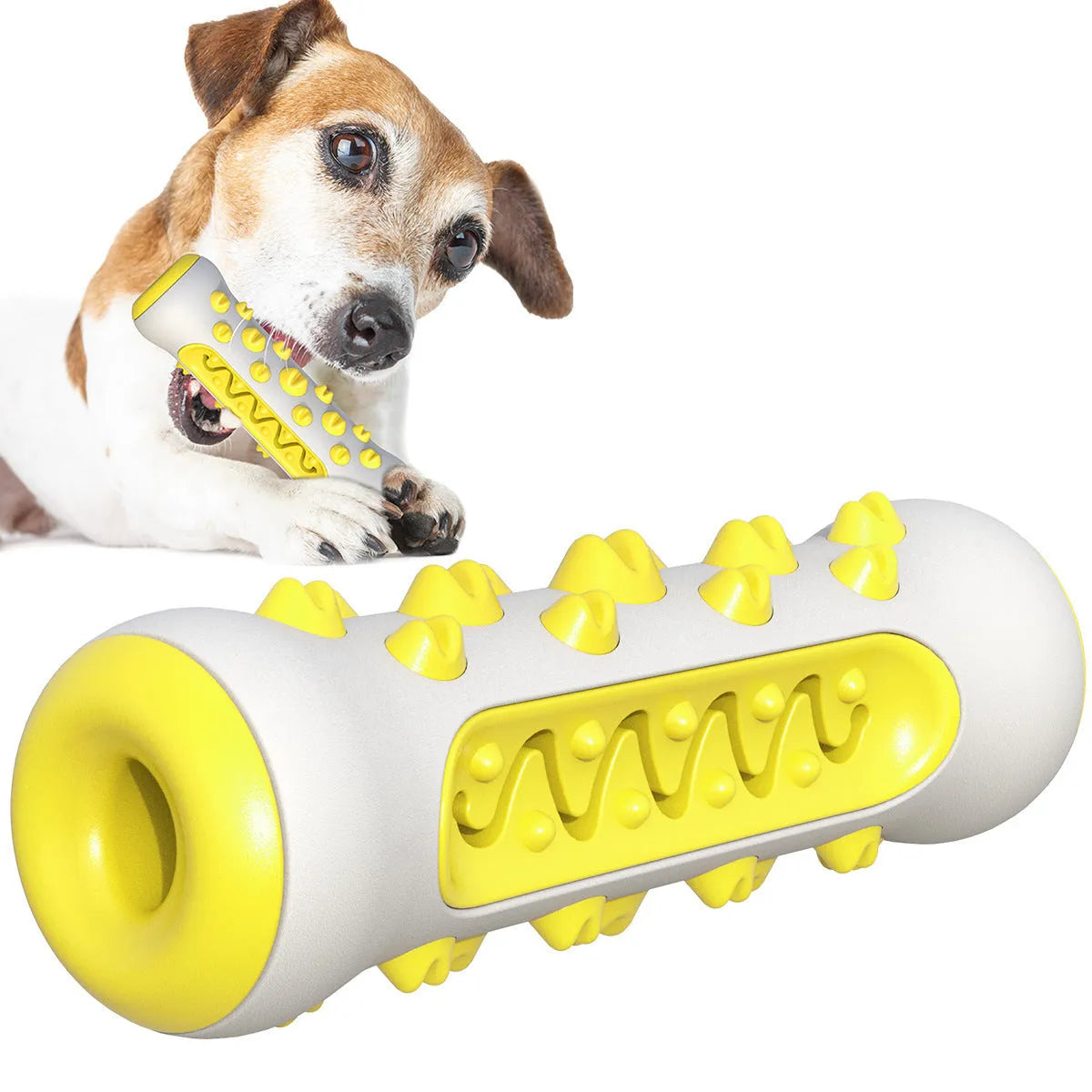 Natural rubber dog toothbrush chew toy in blue, shown next to a small dog for scale