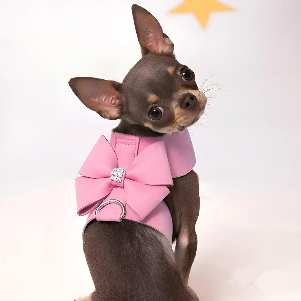 Cute bowknot puppy chest strap harness in microfiber available in pink, blue, orange colours