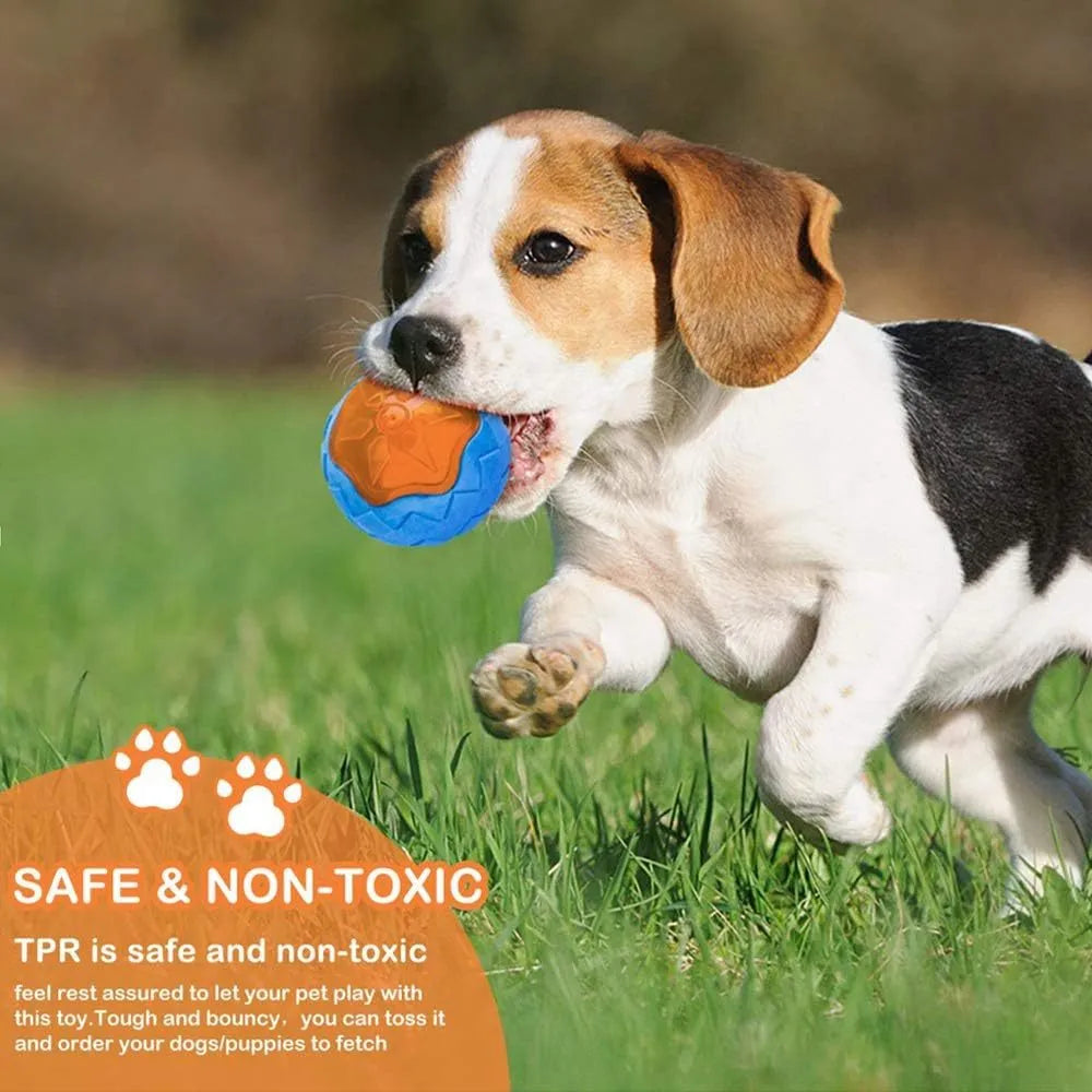 Set of three TPR dog toys: a squeaky ball, barbell and floating tires for water fetch.