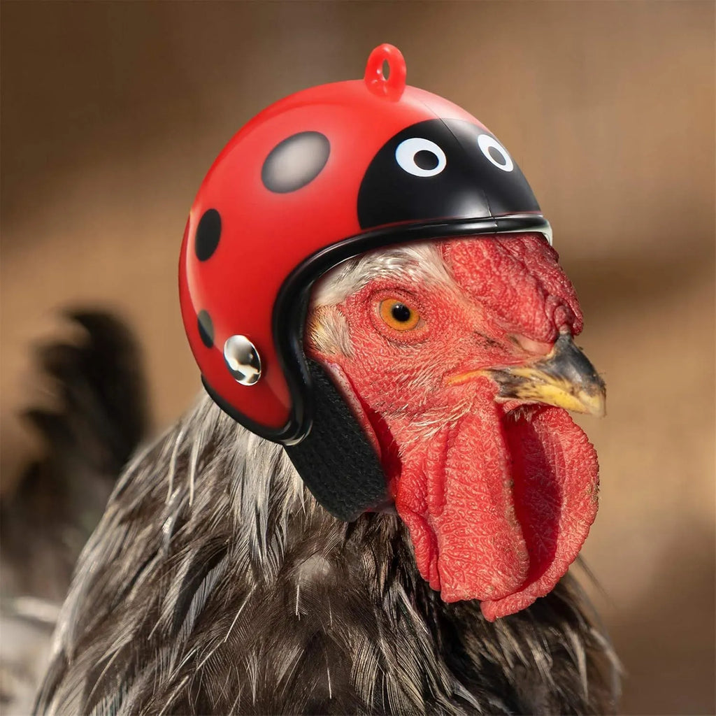 Adjustable pet helmet for small chickens and birds with elastic bands and costume designs