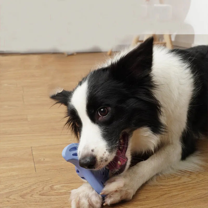 Blue boomerang-shaped dog chew toy with textured edges for medium and large breed dogs