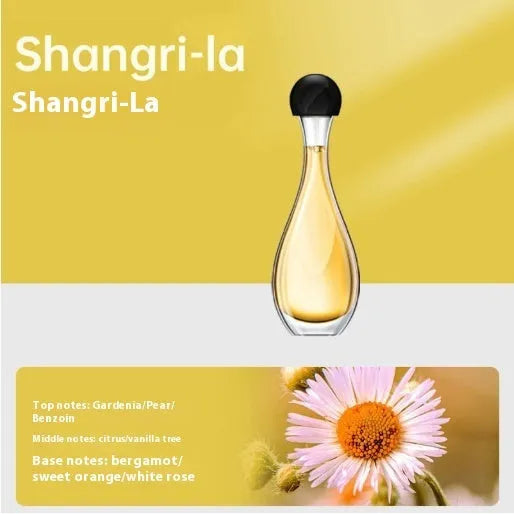 Ultrasonic aroma diffuser unit for essential oils or mosquito repellent liquid, with style selection options.