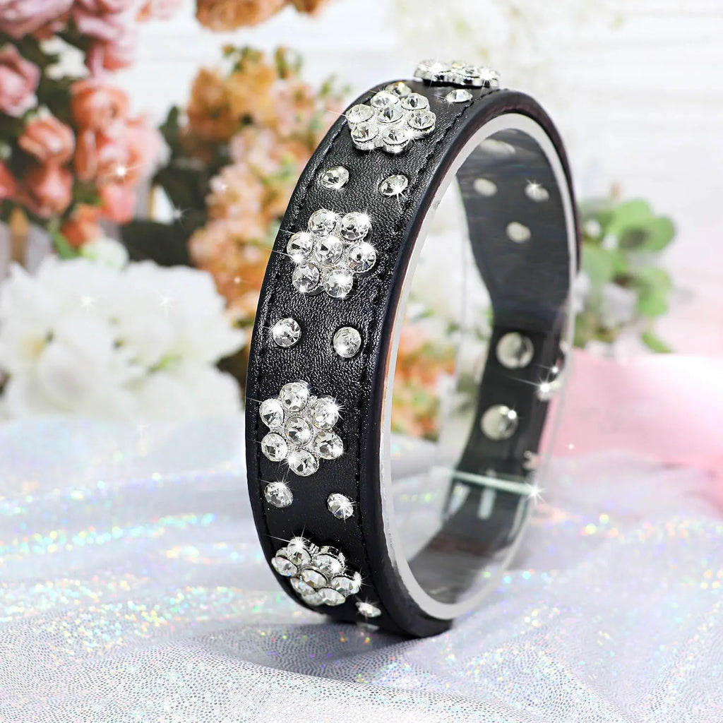 Black PU leather dog collar with rhinestone flower pattern and metal D-ring on a small dog.