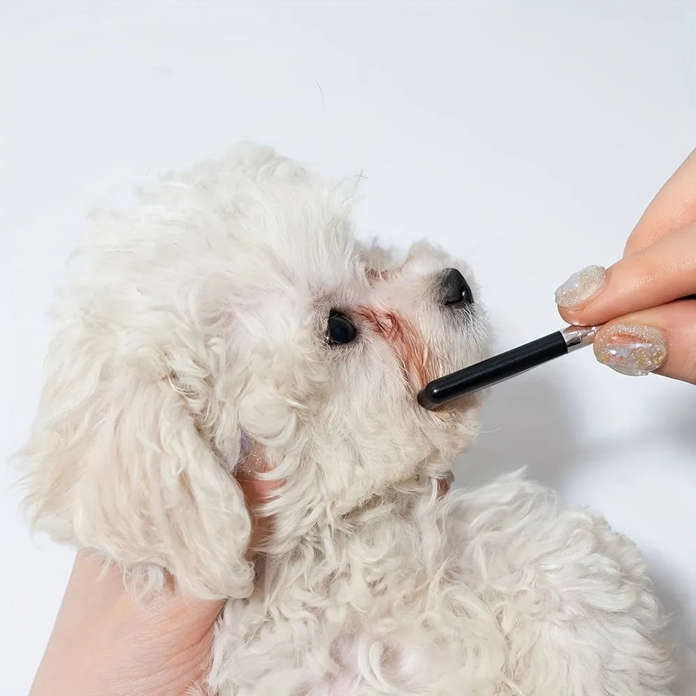 Black dual-sided pet grooming brush with soft bristles for eye area and comb for hair removal