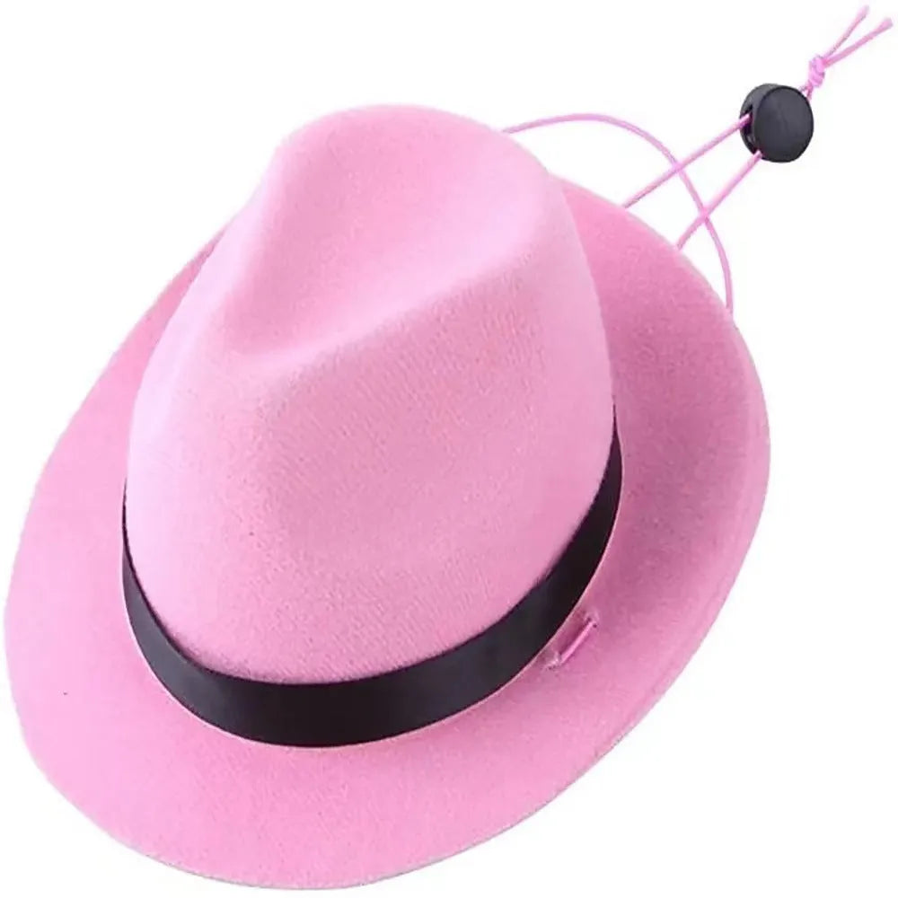 Wool felt pet hat in black colour with 155cm diameter for small dog costume accessory