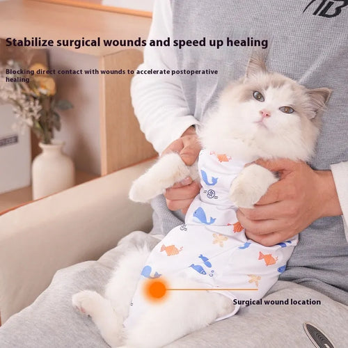 Cat wearing polyester sterilisation suit with velcro closure for postoperative wound protection