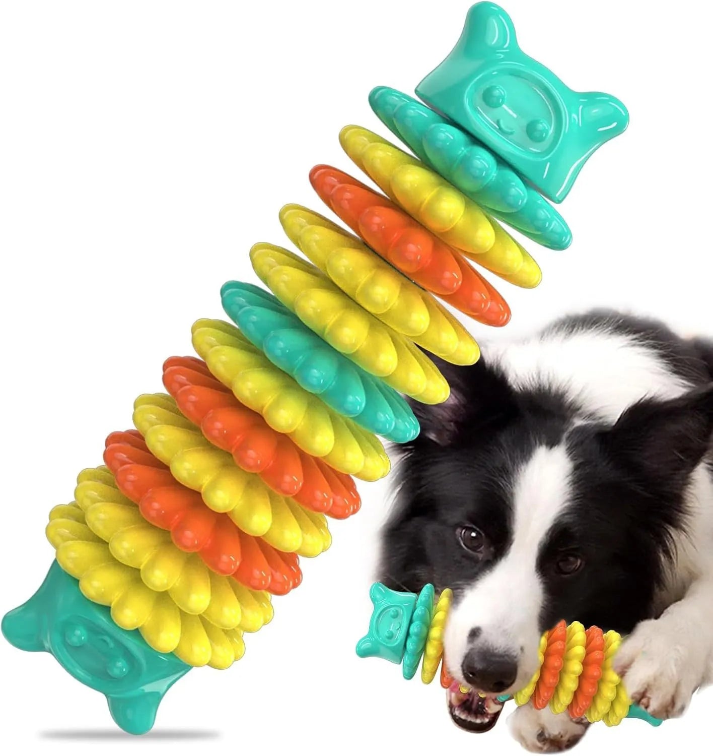 Blue, green, and pink caterpillar-shaped natural rubber dog chew toy on a white background.