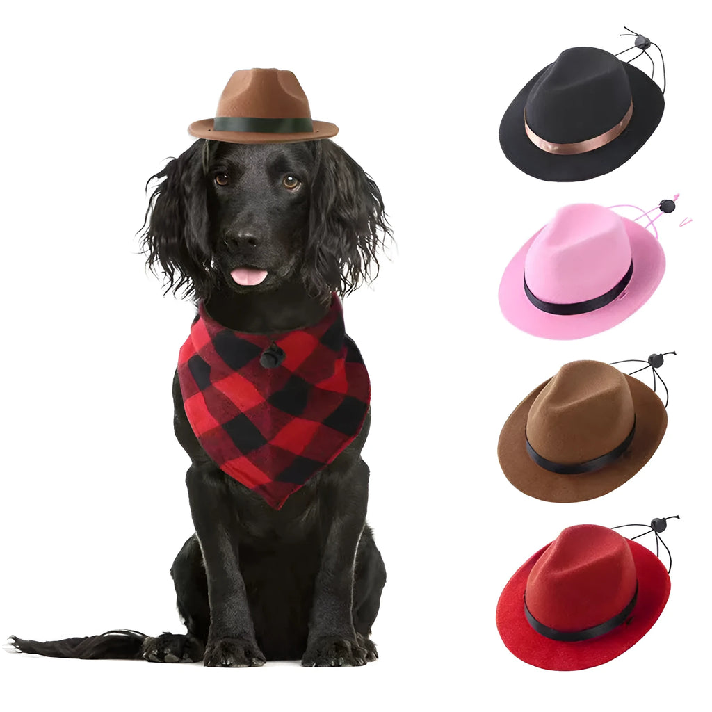 Wool felt pet hat in black colour with 155cm diameter for small dog costume accessory