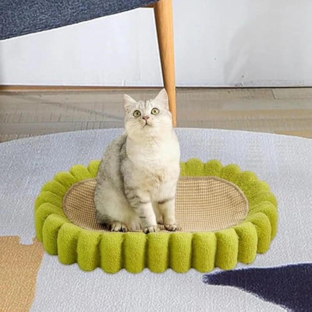 Green oval sisal cat scratching pad serving as a lounging bed, dimensions 650mm by 420mm.