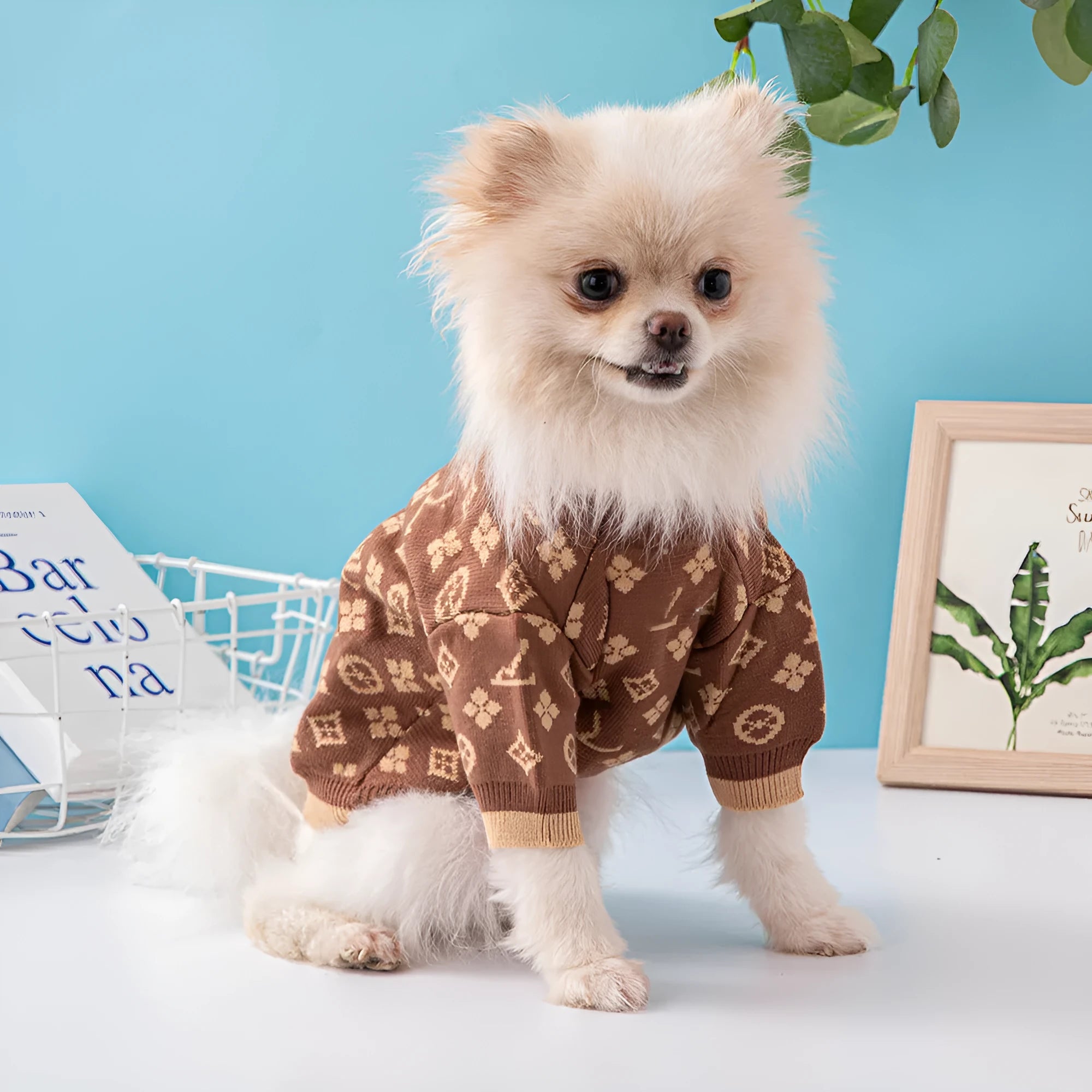 A thick wool dog sweater for winter available in multiple sizes and colours.