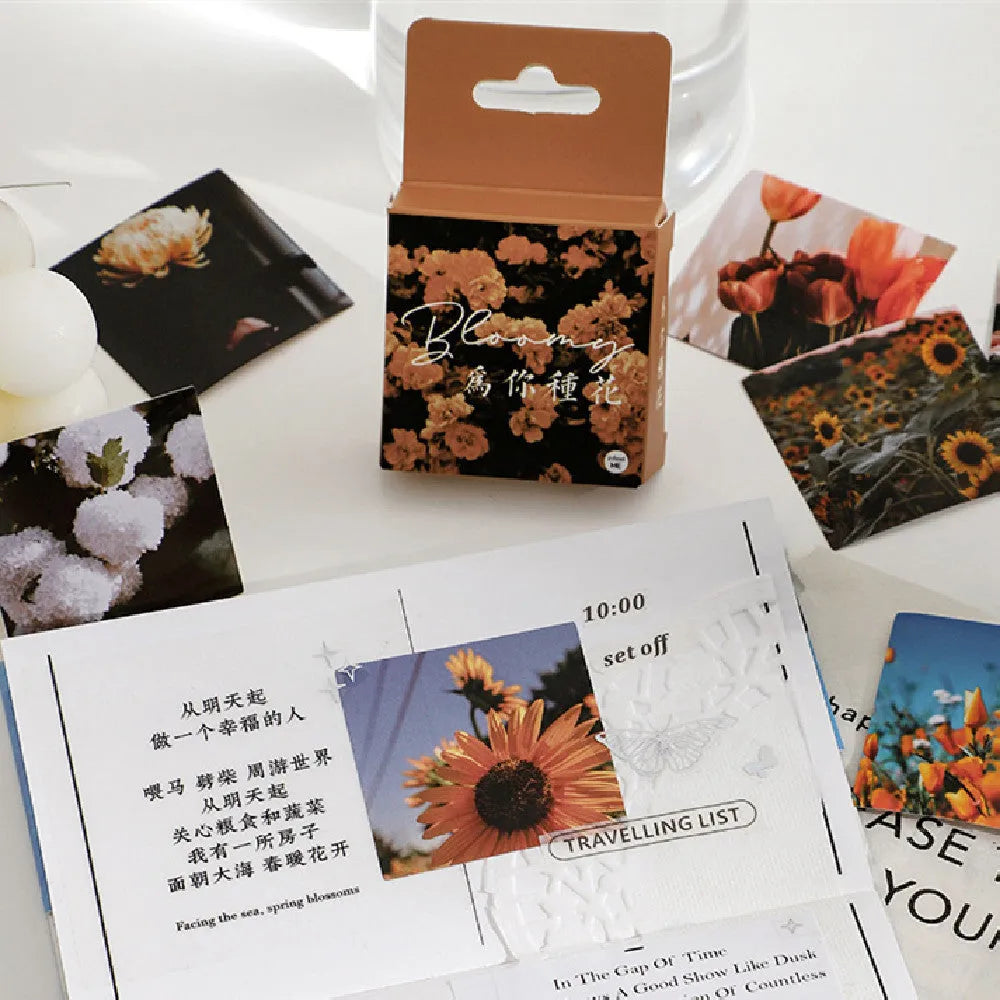 Nordic style decorative sticker box set showing six colour designs with square 44mm stickers