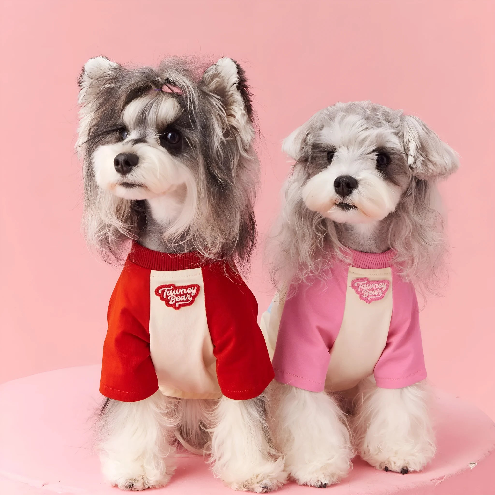 Dog wearing cotton summer clothes in embroidered red colour, size options XS to XXL available