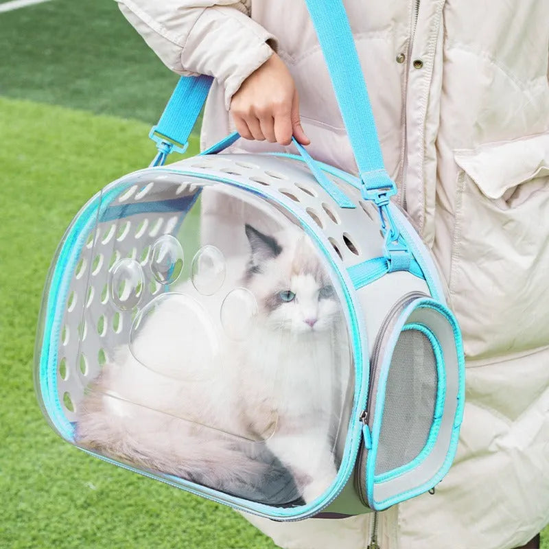 Transparent hard-shell cat backpack carrier showing interior space with colour options