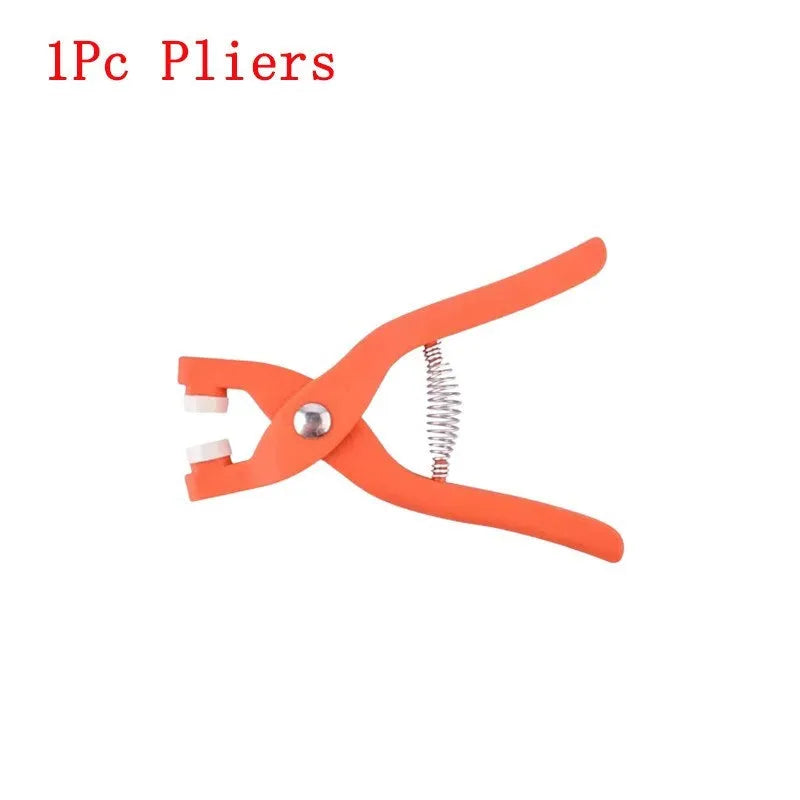 Stainless steel no-sew suit buttons with five-claw clasp for children's clothing