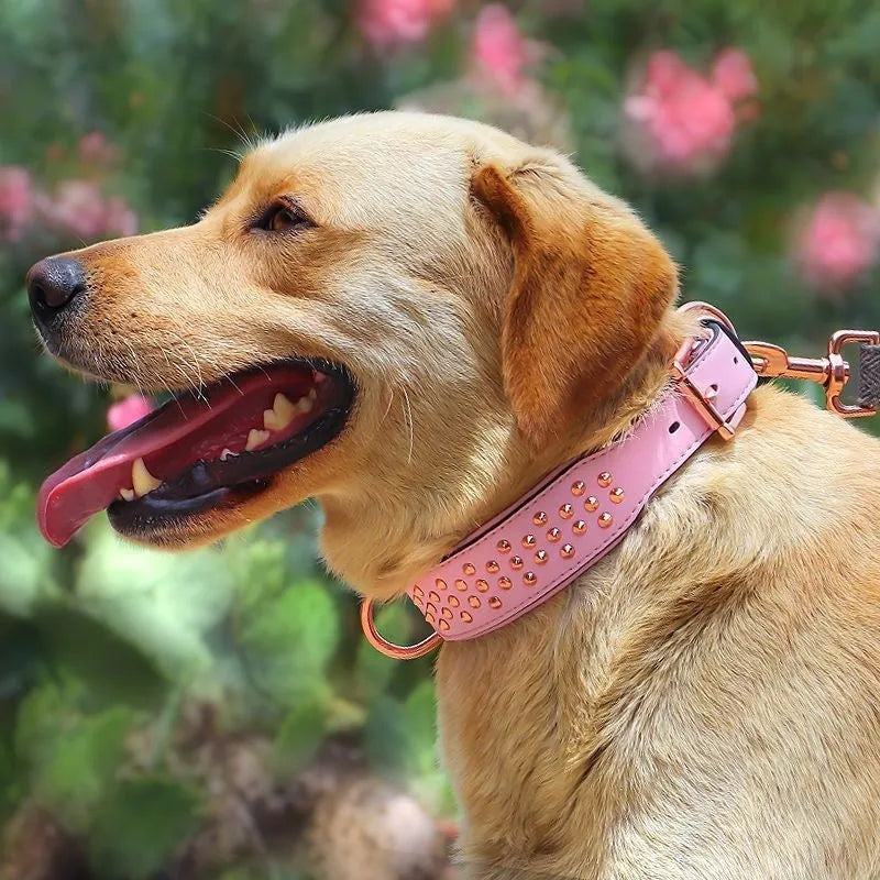 Leather dog collar with flat metal rivets in black, chocolate or pink for bite protection