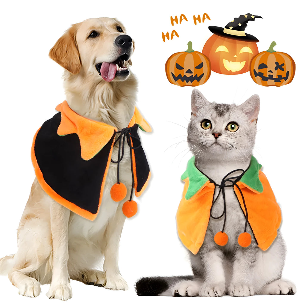 Orange plush Halloween cloak with pumpkin design on a dog, showing cloak and matching hat options.