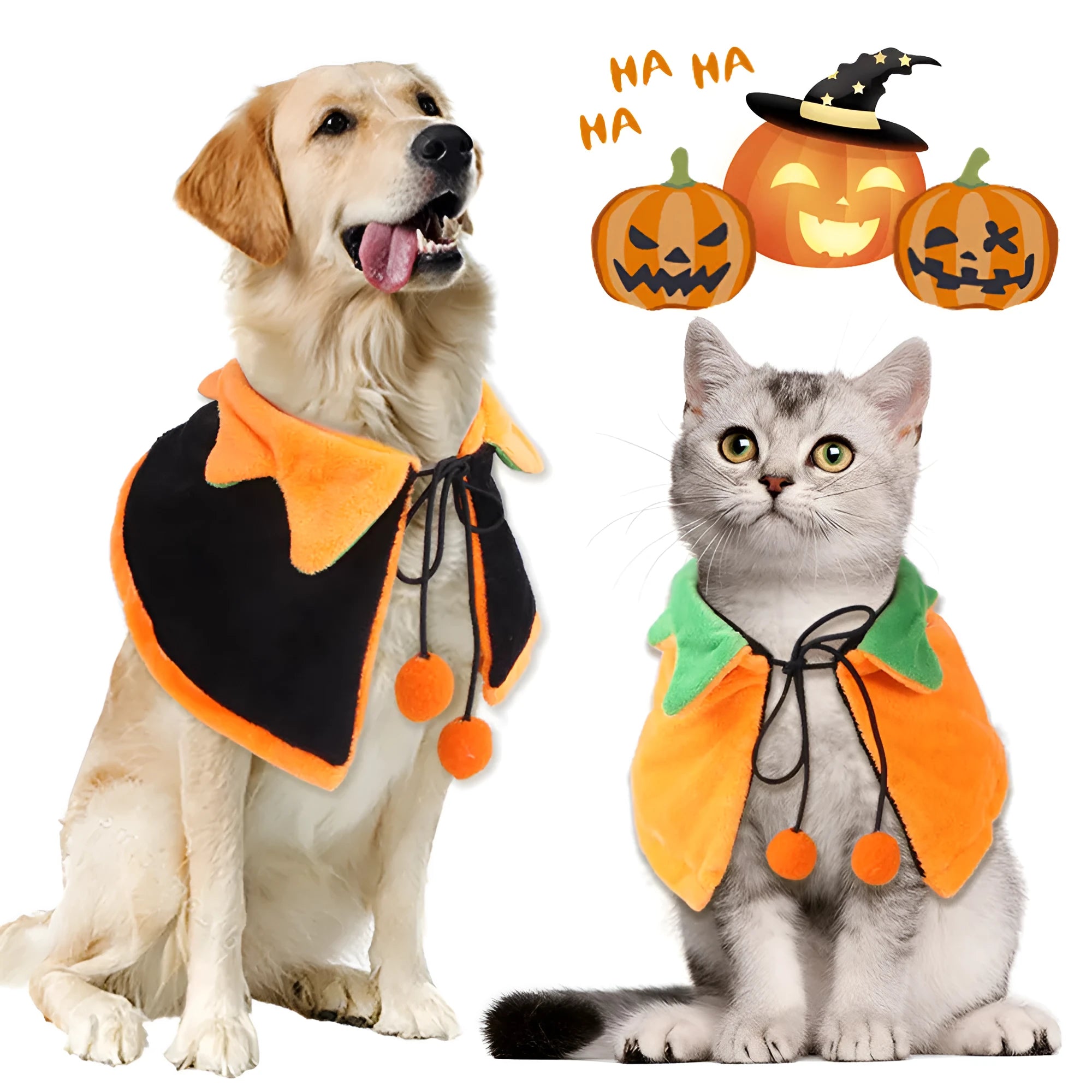 Orange plush Halloween cloak with pumpkin design on a dog, showing cloak and matching hat options.
