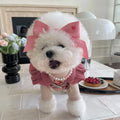 Dog wearing princess style bow hair band with tension adjustment on head