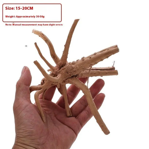 Xiaoqi root wood ornament for aquarium decoration on white background